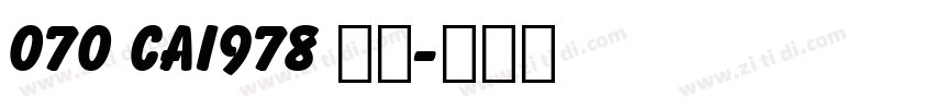 070 CAI978 字体字体转换